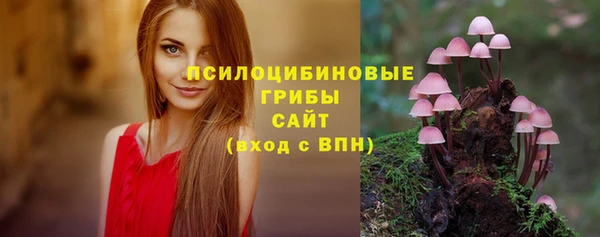 мдпв Арсеньев