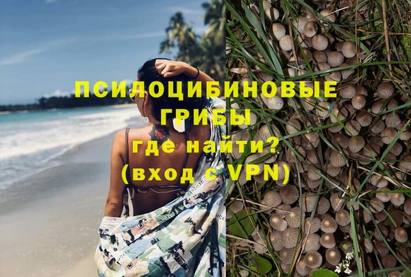 ешки Аркадак