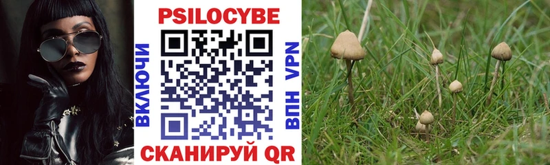 Псилоцибиновые грибы GOLDEN TEACHER  наркотики  Кукмор 